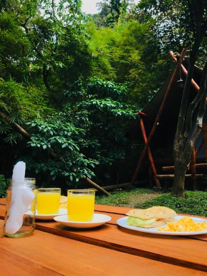 Bambu Glamping Ecolodge 메딜린 외부 사진