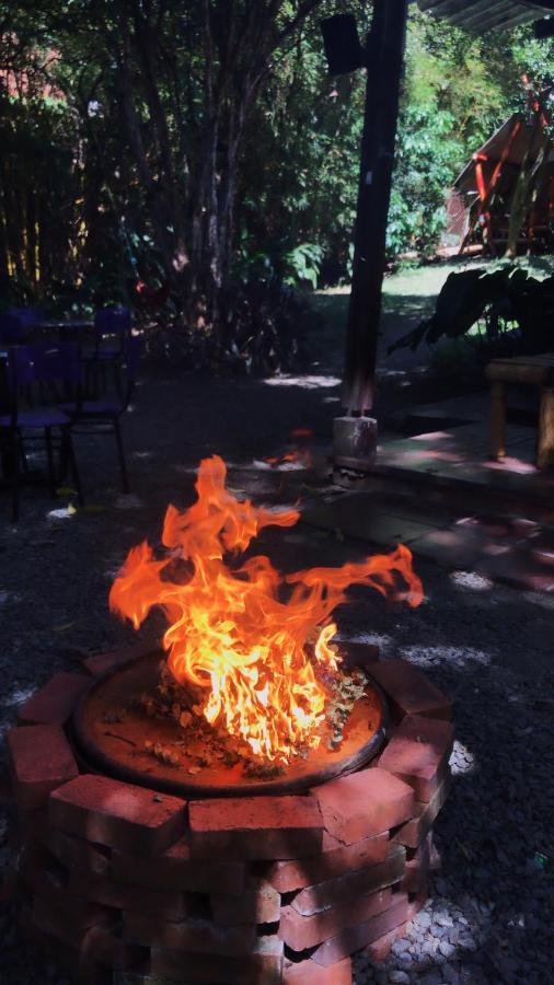 Bambu Glamping Ecolodge 메딜린 외부 사진