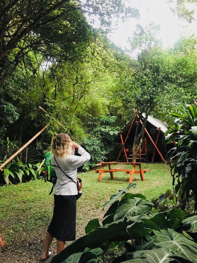 Bambu Glamping Ecolodge 메딜린 외부 사진