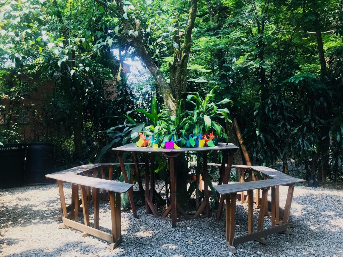 Bambu Glamping Ecolodge 메딜린 외부 사진